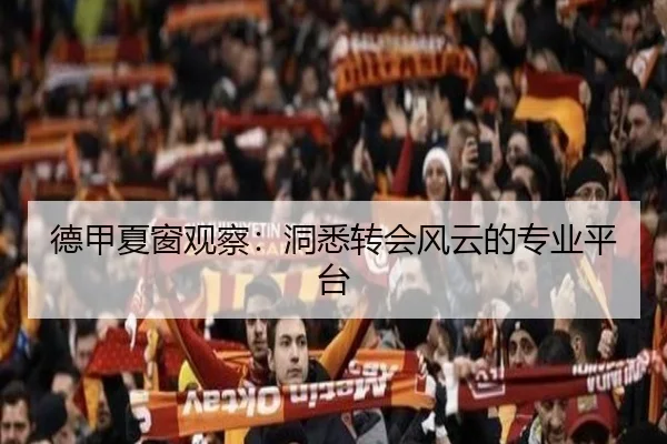 德甲夏窗观察：洞悉转会风云的专业平台